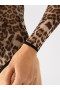 Bodis Feline I0003