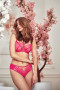 Kelnaitės brazyliany Paradise K498 Amarantowe