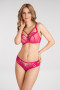 Kelnaitės brazyliany Paradise K498 Amarantowe