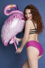 Kelnaitės Simple Panty Purple Purpurinė - Kelnaitės